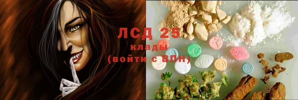 PSILOCYBIN Надым