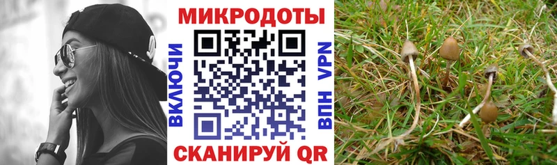 blacksprut ONION  Магнитогорск  Галлюциногенные грибы Magic Shrooms 