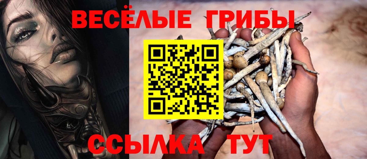 Галлюциногенные грибы GOLDEN TEACHER Магнитогорск